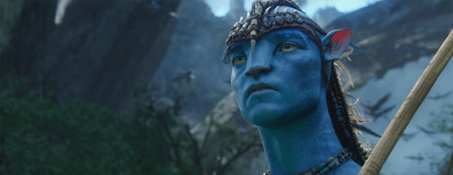 Avatar Special Edition An IMAX 3D Experience Showtimes  Fandango